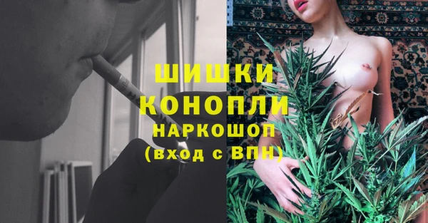 бошки Верхний Тагил