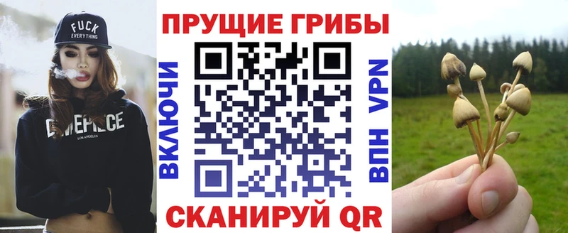 цены наркотик  Болотное  Галлюциногенные грибы GOLDEN TEACHER 